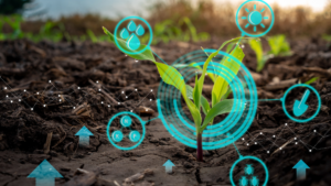 Agriculture and crop learning