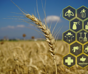 Agricultural science and crops